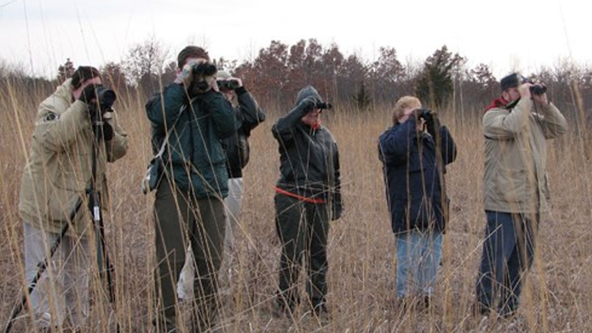 Spring Bird Walk at Van Patten Woods